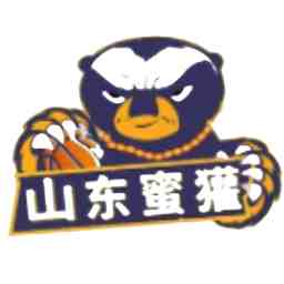 威高血净